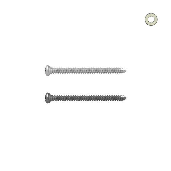 Small Screw Box With Screw Tray & Screw Holding Forceps